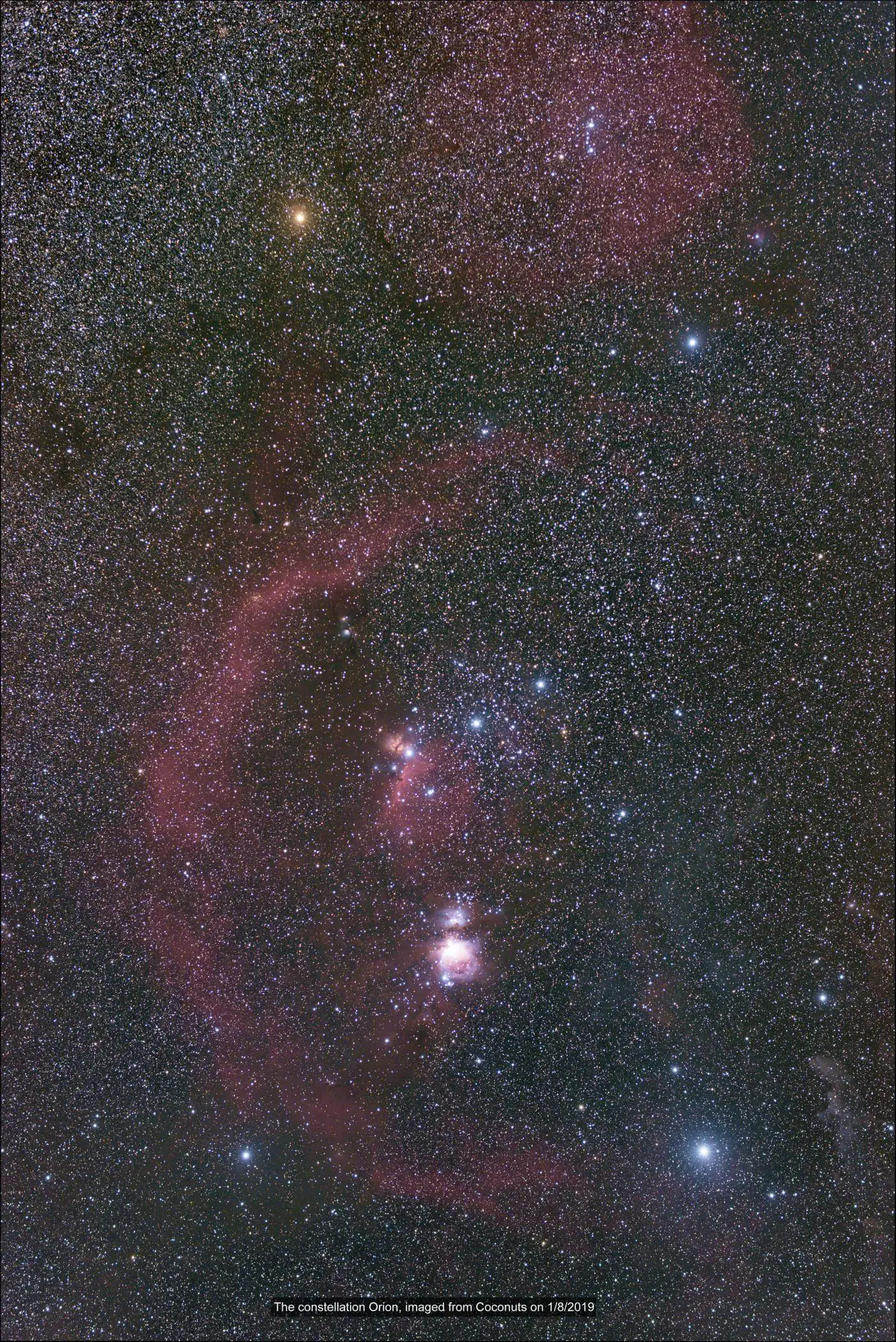 St. John's star-filled night skies